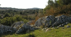 garrigue-1294691902-529