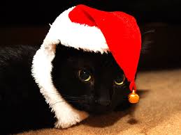 chat-noir-Noël