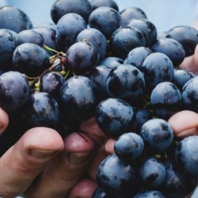 L'Italie, la Toscane, l'autre pays du vin.